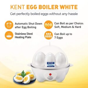 Lalithatraders Kent Egg Boiler16053 Stainless Steel 360 Watts
