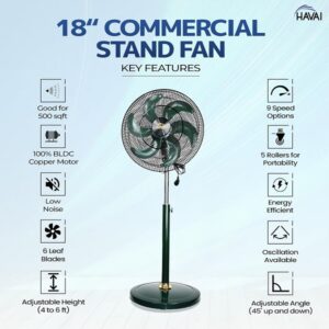 HAVAI BLDC Pedestal Fan 18 inches, Silent Operation, 50% Energy Savings