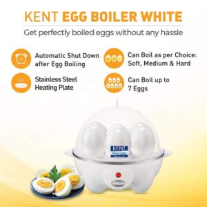 Kent Egg Boiler16053 Stainless Steel 360 Watts