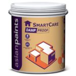 Asian Paints Smartcare White Damp Proof 20 L