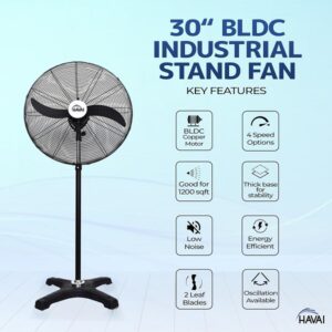 HAVAI 30 inches BLDC Pedestal Fan 2-Blade Design