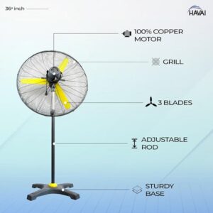 HAVAI 36 inches Pedestal Fan BLDC Copper Motor 3-Blade Design