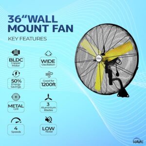 HAVAI Bldc Wall Mount 36 Inch, 3 Blade Fan, 50% Savings On Electricity