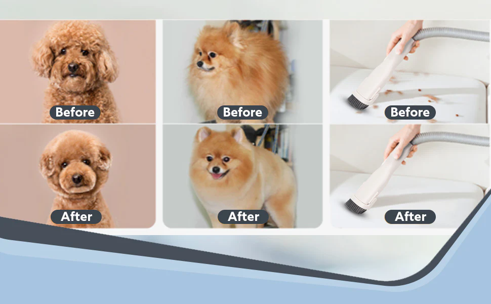 AGARO Supreme Pet Grooming Kit, Vacuum Suction, Picks up 99% Pet Hair