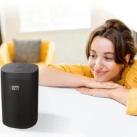 Zebronics Zeb-Smart 5W Wi-Fi Speaker with Alexa